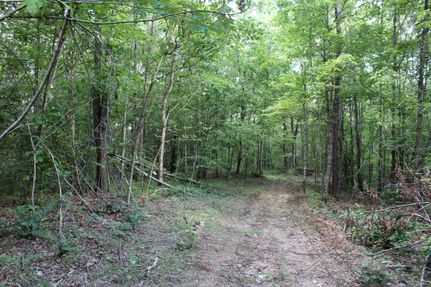 Property in Whitley County, Kentucky