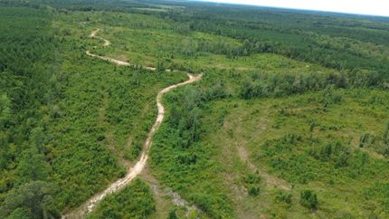 Property in Winn Parish, Louisiana