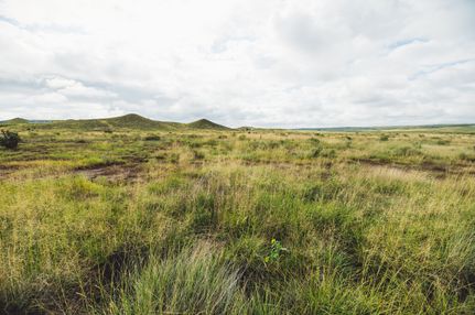 Property in El Paso County, Colorado