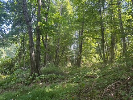 Property in Cambria County, Pennsylvania