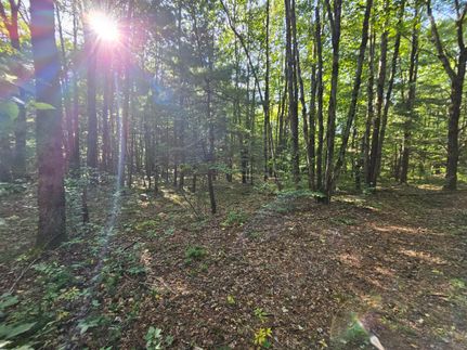 Property in Chenango County, New York