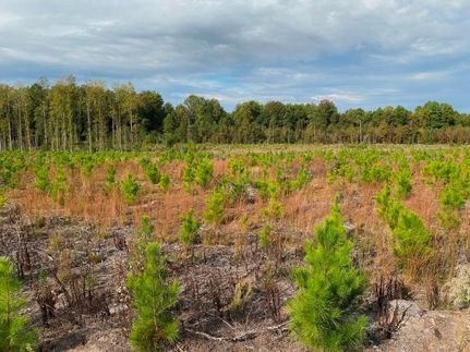 Property in Anson County, North Carolina