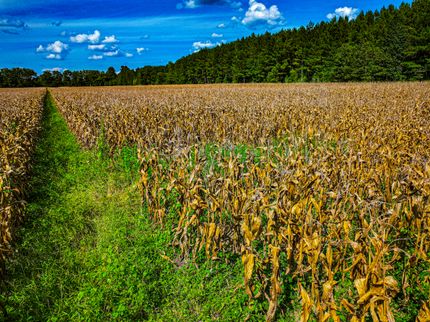 Property in Lee County, Mississippi