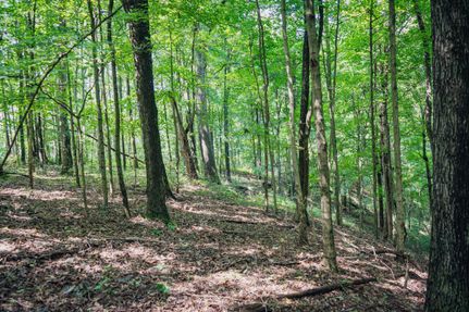 Property in Harrison County, West Virginia