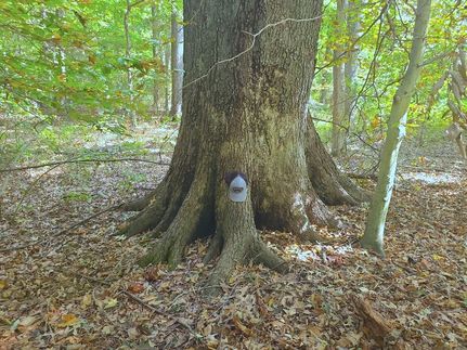 Property in Queen Annes County, Maryland