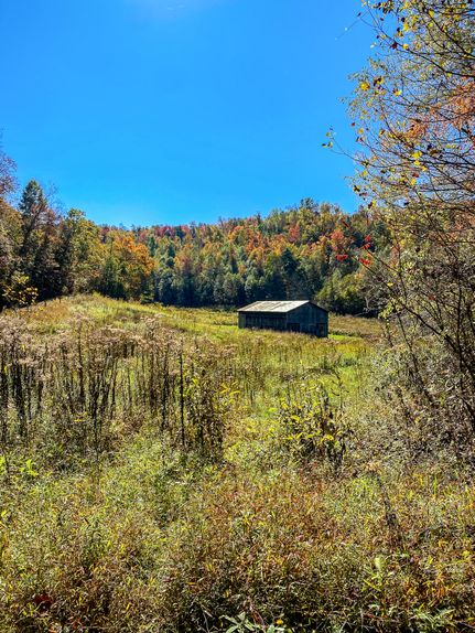 Property in Lewis County, Kentucky