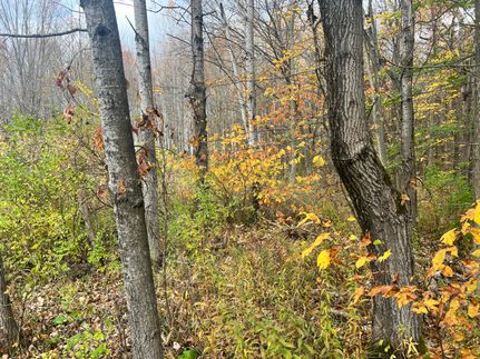 Property for sale in Ashtabula County, Ohio