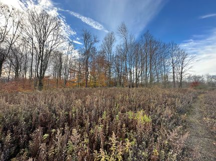 Property in Wayne County, Pennsylvania