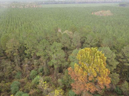 Property in Union County, Arkansas