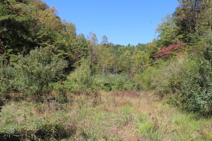 Property in Owsley County, Kentucky