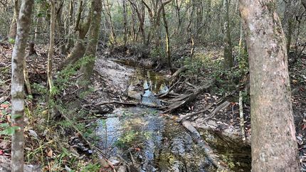 Property in George County, Mississippi