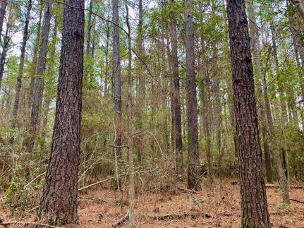 Property in Smith County, Mississippi