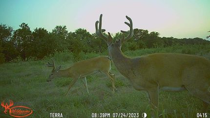 Property in Montgomery County, Kansas