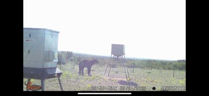 Property in Terrell County, Texas