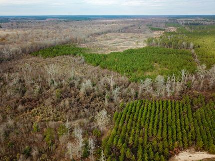 Property in Bradley County, Arkansas