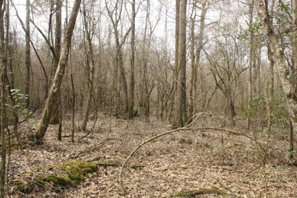 Property in Ashley County, Arkansas