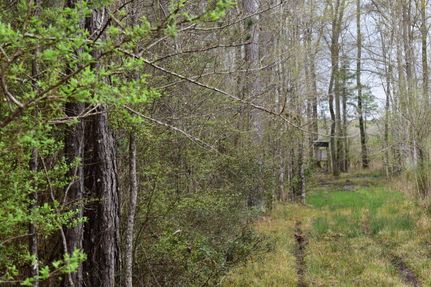 Recreational Property for sale in Union County, Arkansas