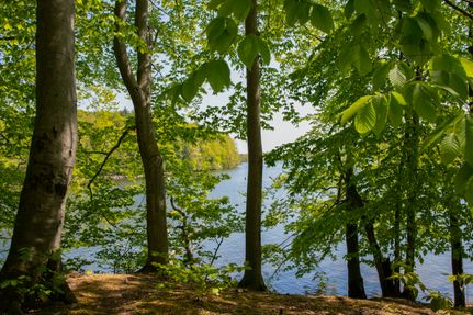 Property in Oswego County, New York