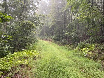 Property in Allegany County, Maryland