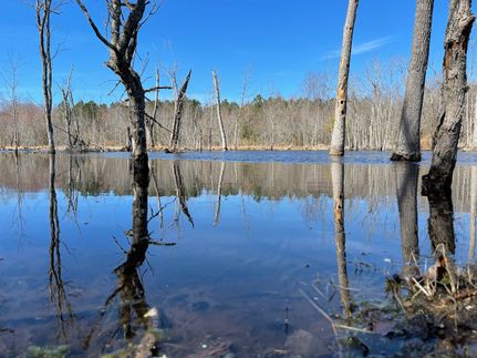 Property in Nash County, North Carolina