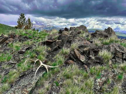 Property in Silver Bow County, Montana