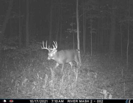 Property in Wayne County, New York