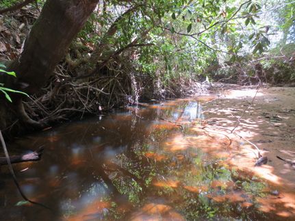 Property in Marion County, Mississippi