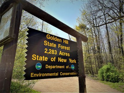 Property in Cattaraugus County, New York