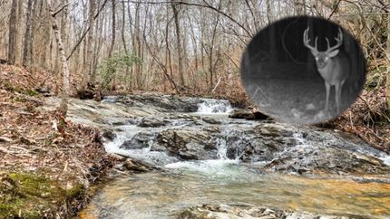 Property in Talladega County, Alabama