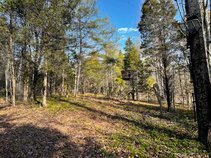 Property in Harrison County, Indiana