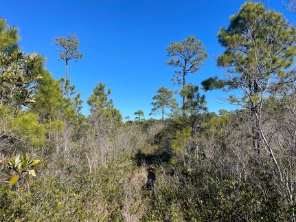Property in Carteret County, North Carolina