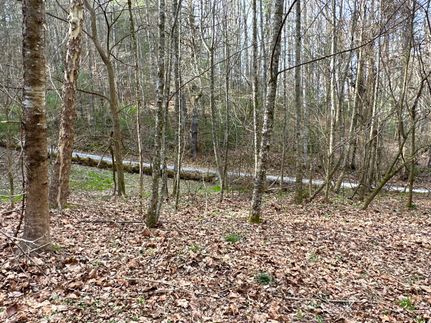 Property in Cocke County, Tennessee