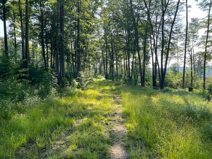 Property in Forest County, Pennsylvania