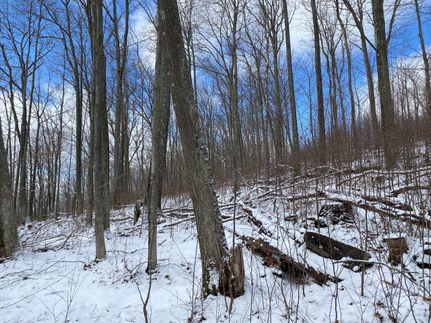 Property in McKean County, Pennsylvania