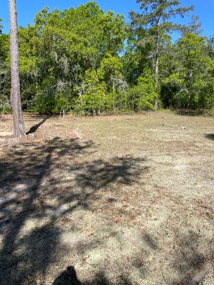 Property in Scotland County, North Carolina