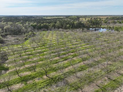 Property in Wilcox County, Georgia