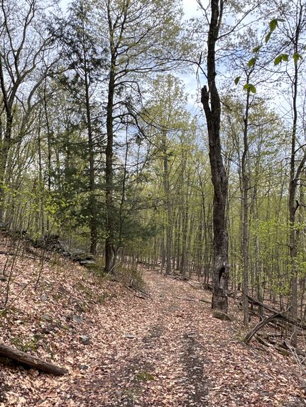 Property in Greene County, New York