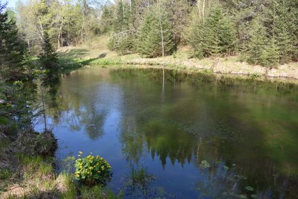 Property in Forest County, Wisconsin
