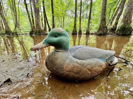 Property in Cherokee County, Alabama