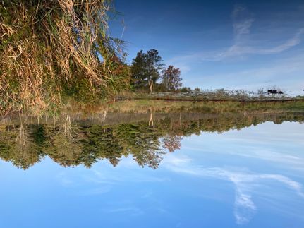 Property in Cumberland County, Maine