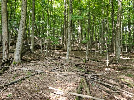 Property in Otsego County, New York