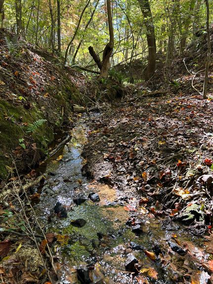 Property in Cleveland County, North Carolina