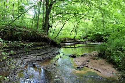 Property in Morgan County, Kentucky