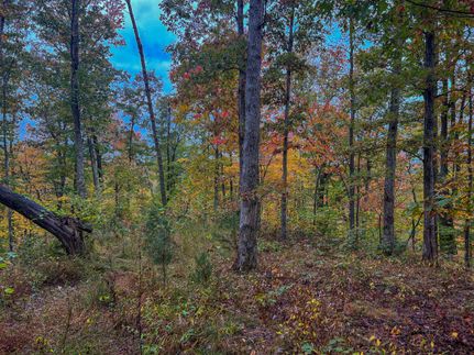 Property in Ritchie County, West Virginia