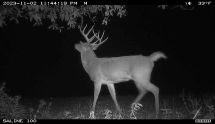 Property in Saline County, Illinois