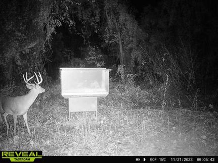 Property in Concordia Parish, Louisiana