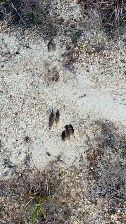 Property in George County, Mississippi