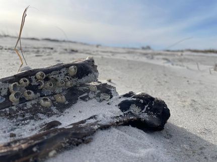 Property for sale in Carteret County, North Carolina