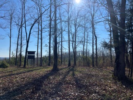 Property in Pickens County, Alabama