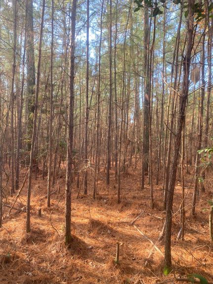 Property in Surry County, Virginia